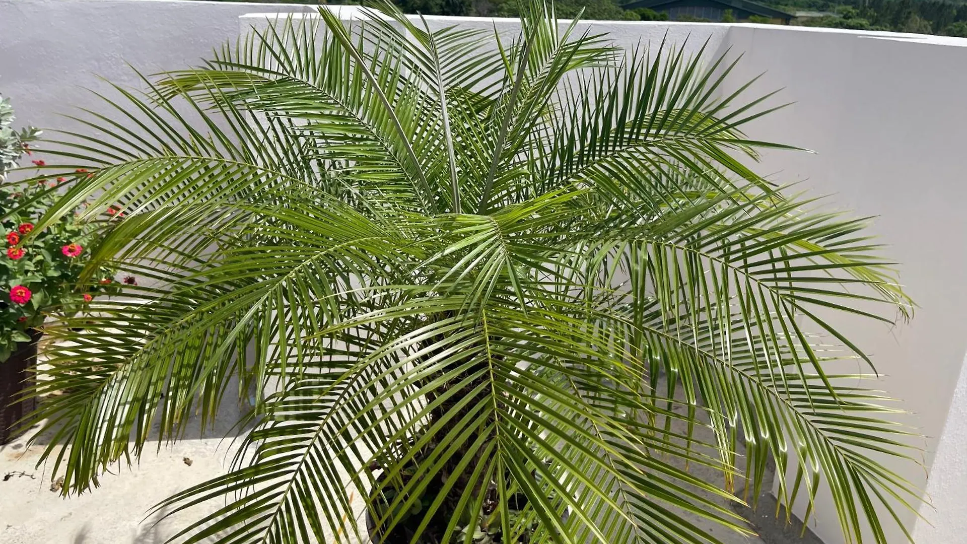 Plataview Apartahotel Apt 3C Santo Domingo Dominican Republic